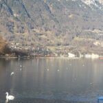 Interlaken Private Tour: Mountains Cows, Thun Lake, and Brienz Lake - What To Expect During the Tour