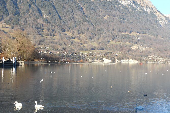 Interlaken Private Tour: Mountains Cows, Thun Lake, and Brienz Lake - What To Expect During the Tour