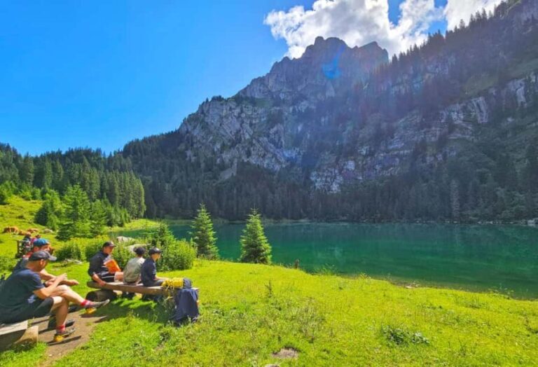 Interlaken: Scenic Walk and Raclette by the Mountain Lake - Final Thoughts