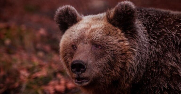 International Environmental Centre of ARCTUROS Tour - Who Is This Tour Best For?