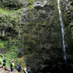 Into the Green Cauldron - Queimadas - Comparing Similar Experiences