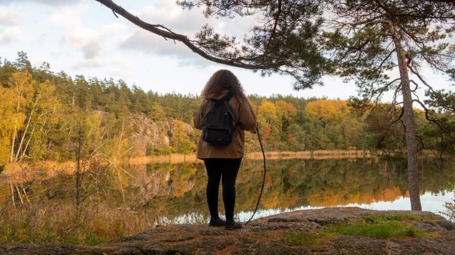 Into the wild - a sensorial experience in Stockholm's woods - The hike to Hellasgården