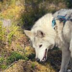 Into the Woods... - Private Tour - Final Thoughts