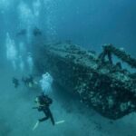 Introductory scuba diving - The Scenic Boat Ride and the Marine Environment