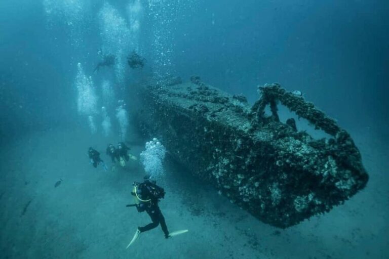 Introductory scuba diving - The Scenic Boat Ride and the Marine Environment