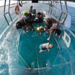 Invisible Boat Snorkeling Tour - The Price and Value