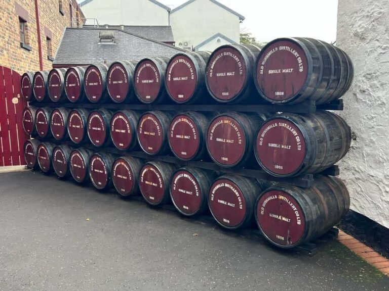 Ireland: Belfast City and Giants Causeway Tour - Is It Worth the Price?