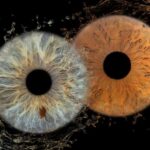 IRIS Photography (macro photo of your eye) - What Is Iris Macro Photography All About?