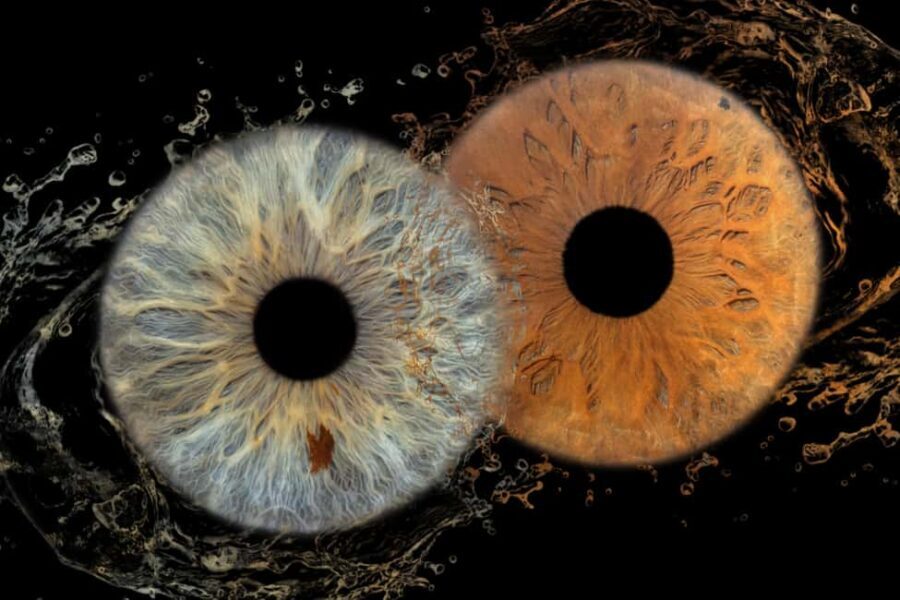 IRIS Photography (macro photo of your eye) - What Is Iris Macro Photography All About?
