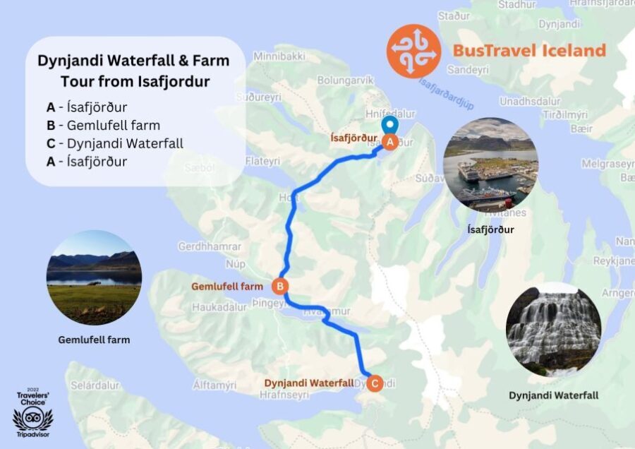 Isafjordur: Dynjandi Waterfall Tour and Icelandic Farm Visit - Is It Worth the Price?