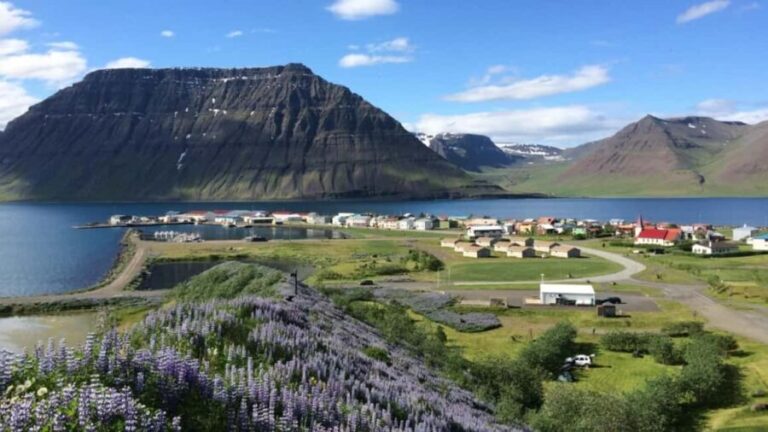Ísafjörður: Flateyri Village tour: Nature, Culture, History - The Practicalities: What to Expect
