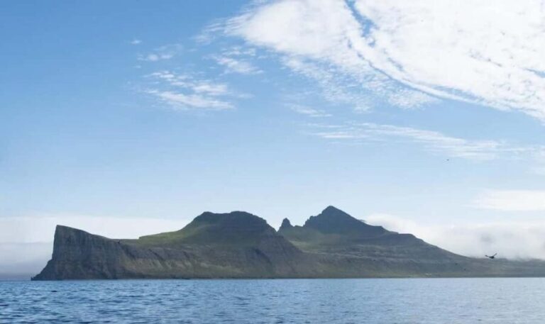 Ísafjörður: Hornstrandir Nature Reserve Guided Hike - What We Loved