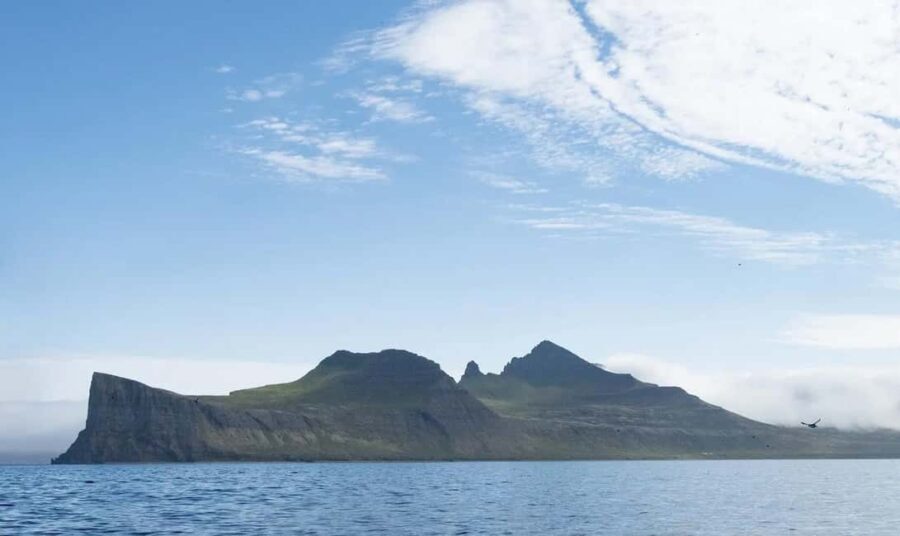 Ísafjörður: Hornstrandir Nature Reserve Guided Hike - What We Loved
