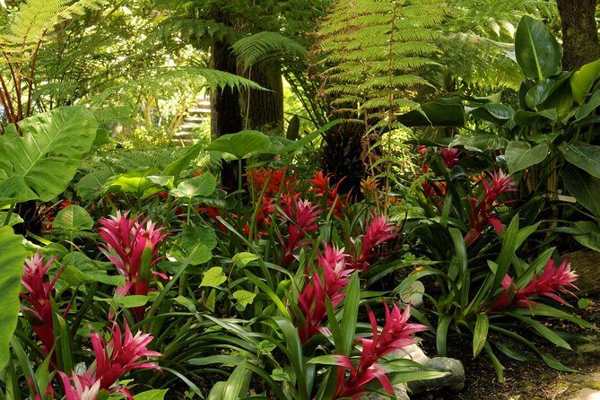 Ischia and La Mortella Gardens - Detailed Breakdown of the Itinerary