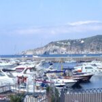 Ischia Food Tastings & Sightseeing: Private Day Trip from Naples Port - Transportation and Timing