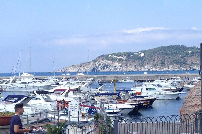 Ischia Food Tastings & Sightseeing: Private Day Trip from Naples Port - Transportation and Timing
