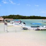 Isla Columpios and Progreso Day Trip - The Value & Practical Considerations