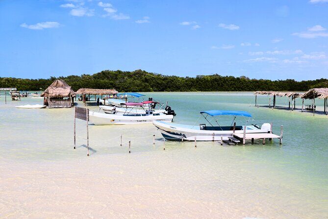 Isla Columpios and Progreso Day Trip - The Value & Practical Considerations