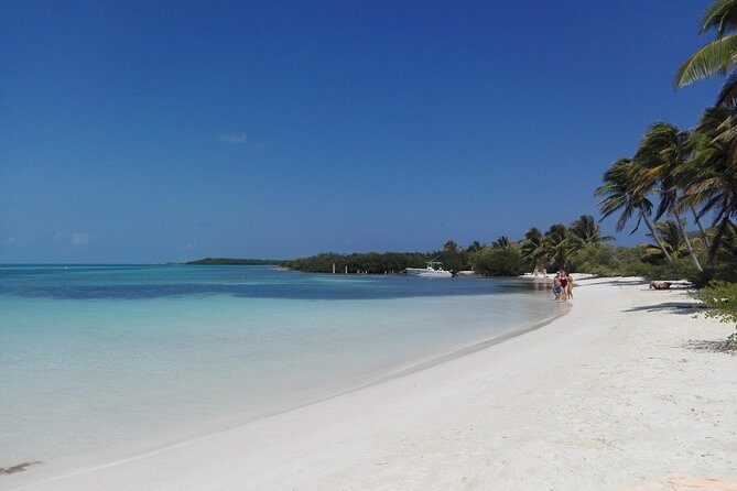 Isla Contoy & Isla Mujeres (from Playa del Carmen) - What We Love About This Tour