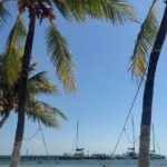 Isla Mujeres Plus Tour with Snorkeling Buffet and Open Bar - What’s Included & What’s Not
