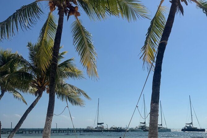 Isla Mujeres Plus Tour with Snorkeling Buffet and Open Bar - What’s Included & What’s Not