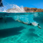 Island Hopping: Santorini to Paros & Antiparos - What We Love and What to Keep in Mind