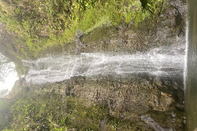 Island of Maui Customized Half Day Tour - Who Should Consider This Tour?