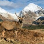 Isle of Skye Day Tour - FAQs