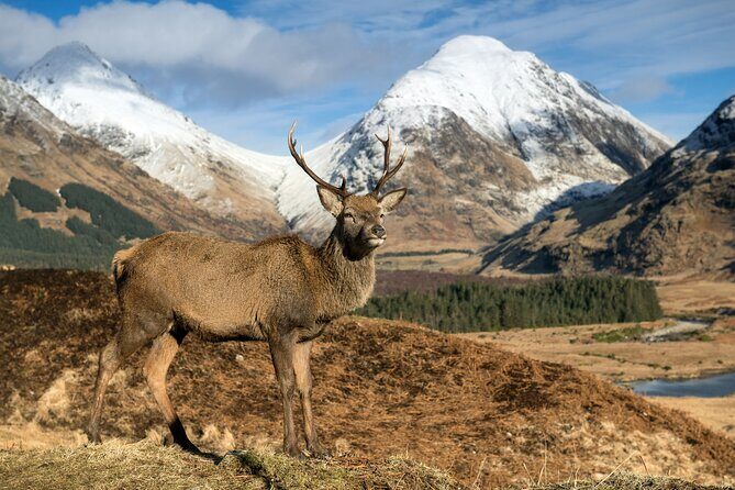 Isle of Skye Day Tour - FAQs