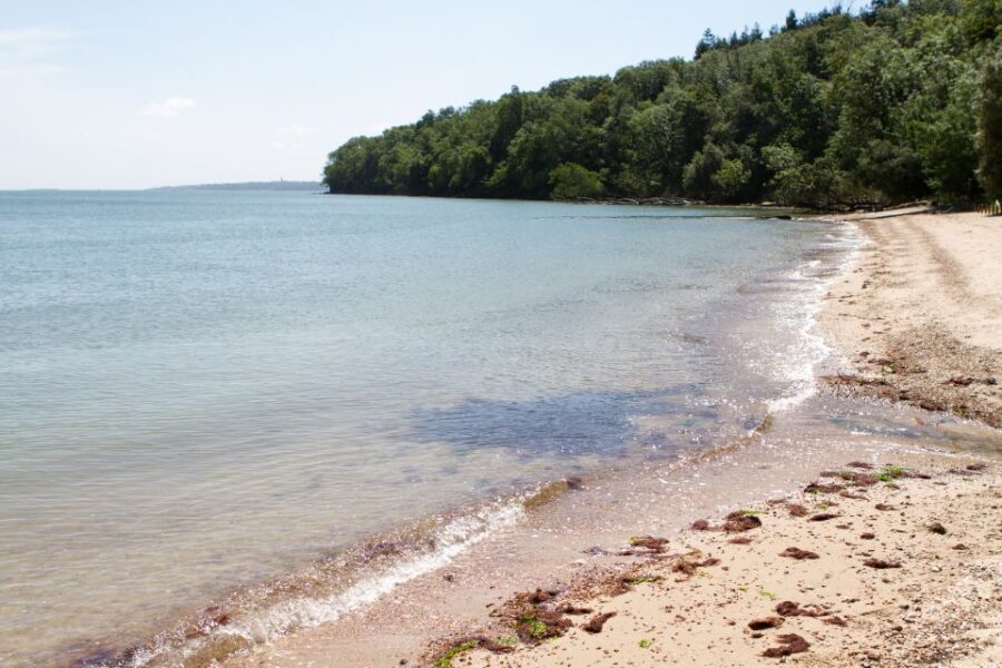 Isle of Wight: Osborne Admission Ticket - The Experience in Detail: A Walkthrough