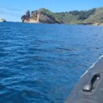 Islet Tour- Ilhéu de Vila Franca do Campo - Guided Boat Tour