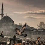 Istanbul: 1 or 2 -Day Private Guided City Tour - A Deep Dive into the Itinerary