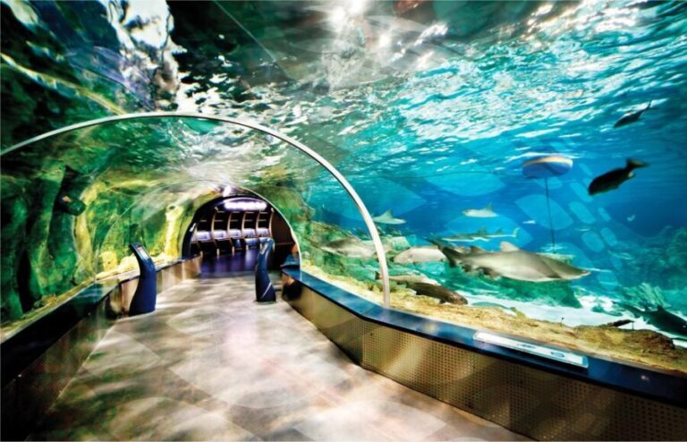 Istanbul Aquarium and Aqua Florya Shopping Mall Tour - The Shopping and Dining Experience