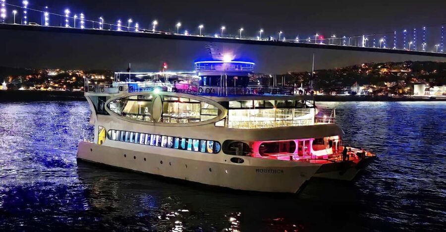 Istanbul: Bosphorus Cruise with Dinner Show - The Detailed Experience: Sightseeing, Entertainment, and Atmosphere