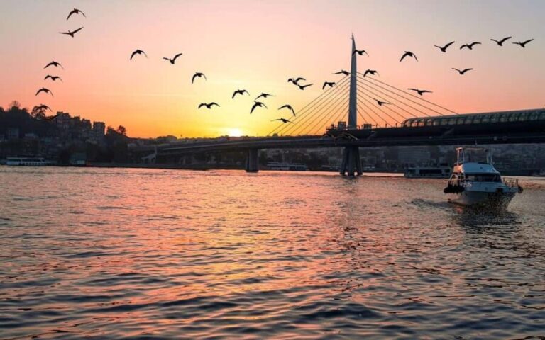 Istanbul: Bosphorus Yacht Cruise with Golden Horn View - Potential Drawbacks to Keep in Mind