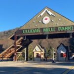 Istanbul: Bursa and Uludag Mountain Day Trip with Cable Car - What to Expect and Tips for the Day