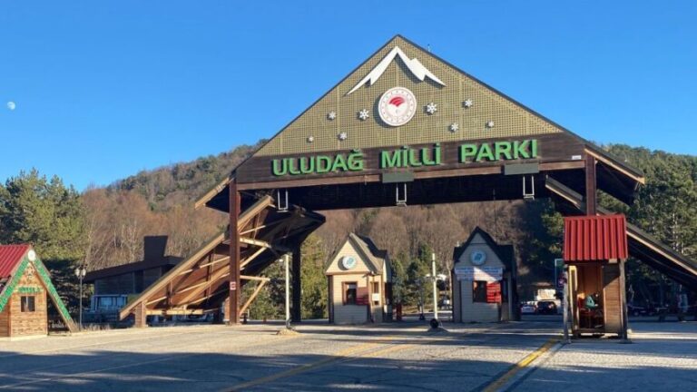 Istanbul: Bursa and Uludag Mountain Day Trip with Cable Car - What to Expect and Tips for the Day