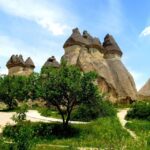 Istanbul: Cappadocia Guided Full=Day Trip by Plane - The Practicalities: What Does It Mean for You?