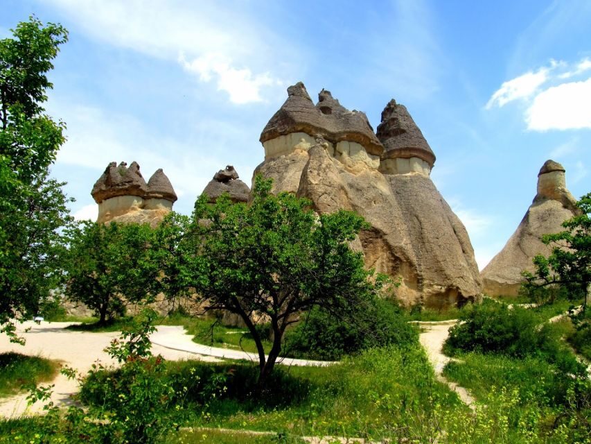 Istanbul: Cappadocia Guided Full=Day Trip by Plane - The Practicalities: What Does It Mean for You?
