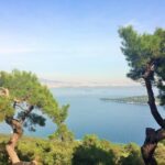 Istanbul: Day Trip to the Princes' Islands - Additional Practical Details
