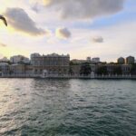 Istanbul: Dolmabahce Palace Entry Ticket - A Look at the Experience from Other Travelers