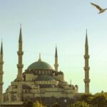 Istanbul Full-Day Historic Tour with Museums, Lunch & Pickup - Who Will Love This Tour?