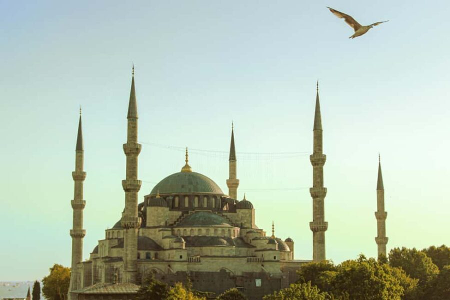 Istanbul Full-Day Historic Tour with Museums, Lunch & Pickup - Who Will Love This Tour?