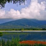 Istanbul: Full-Day Sapanca Lake and Masukiye Tour with Lunch - Visiting Sapanca Lake and the Local Tasting