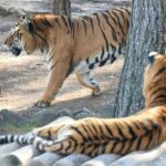 Istanbul Lake Sapanca Tour with Lunch and Transfer - What Do Travelers Say?