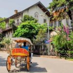 Istanbul Prince Island Cruise with Lunch & Free Time - The Downsides & Considerations