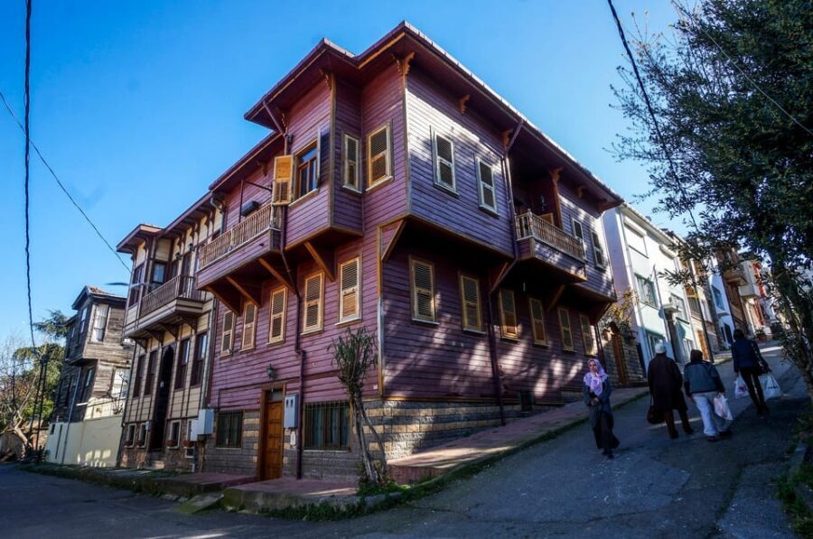 Istanbul Princes island Tour visiting 2 island - Who Should Consider This Tour?