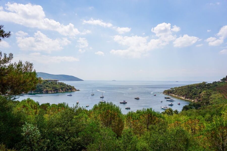 Istanbul: Princes' Islands Cruise w/Music, Lunch & Transfer - Who Is This Tour Best For?