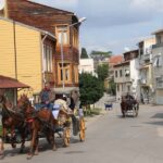 Istanbul: Princes' Islands Cruise with Lunch and Guide - FAQ