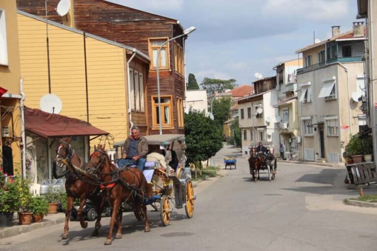 Istanbul: Princes' Islands Cruise with Lunch and Guide - FAQ